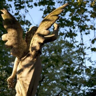 city-of-London-Cemetery-Credit-Peter-Kindersley