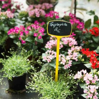 flower-market-columbia-road-shoreditch-explore-london-sunday-fun-day-travel-supercity-1024x683