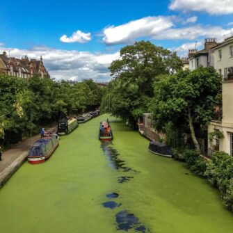 regents-canal-in-the-summer-green-supercity-aparthotels-hotel-water-travel