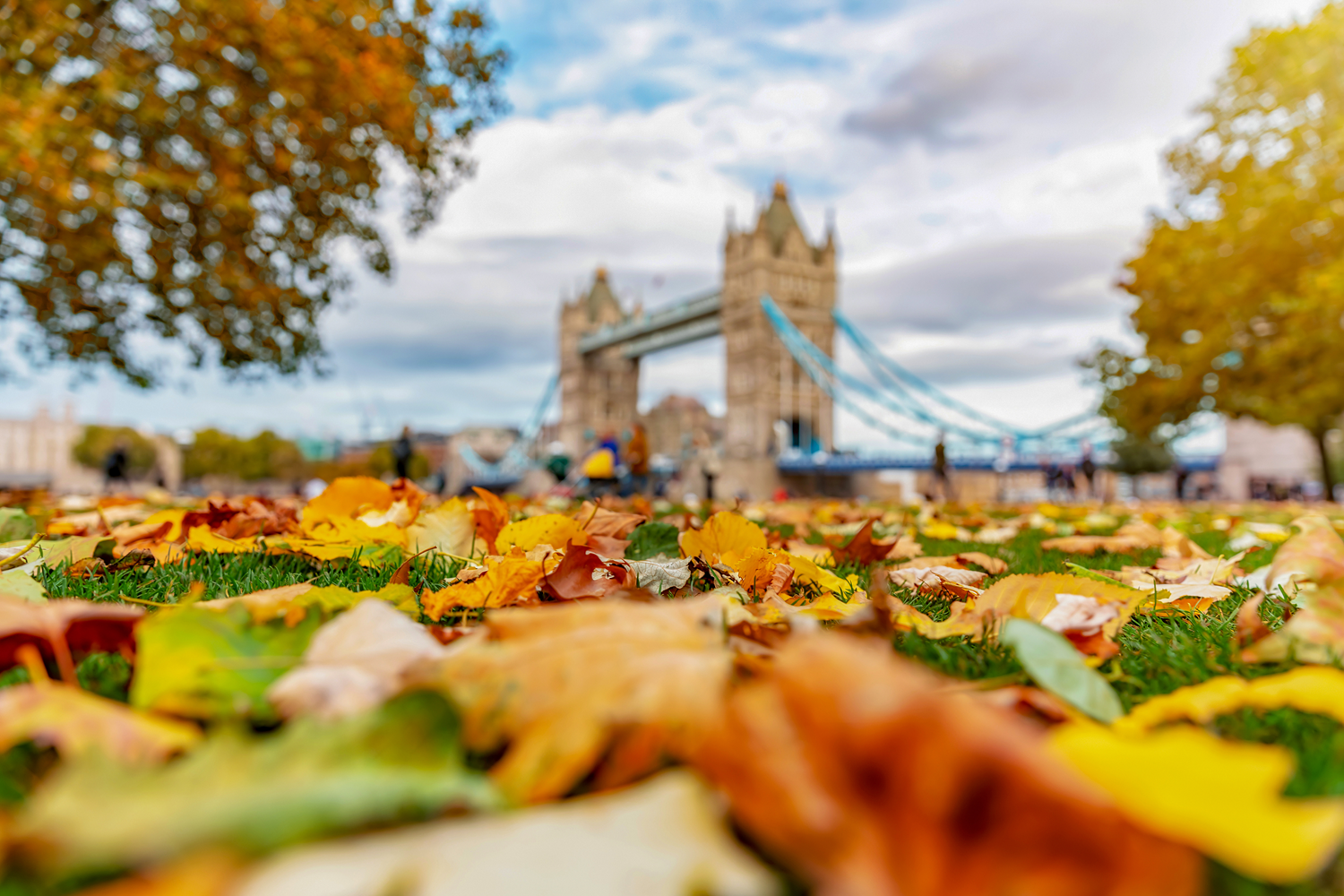 Your Autumn, Your Way
