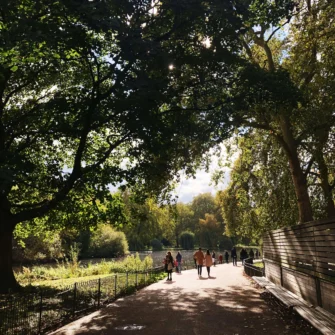 A large green park with pathways, benches, and people enjoying leisure activities on a sunny day, surrounded by tall city buildings in the background.